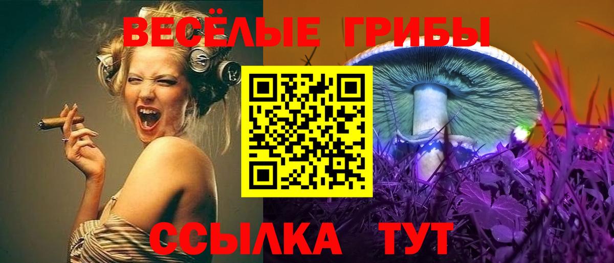 Псилоцибиновые грибы Magic Shrooms  Вход с VPN  Екатеринбург 
